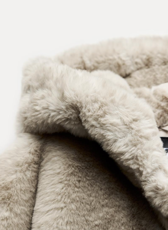 Hooded Fur Teddy Jacket
