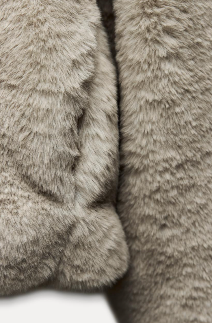 Hooded Fur Teddy Jacket